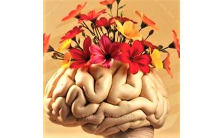 فعالیت روانشناس با موضوع ذهن باز 1