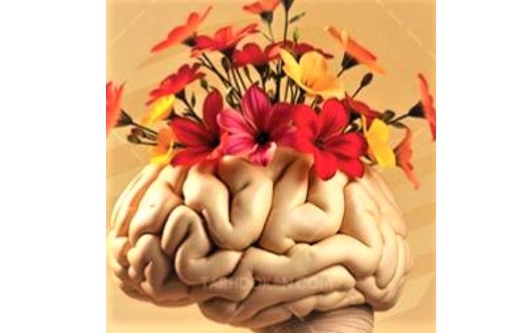 فعالیت روانشناس (ذهن باز) 1