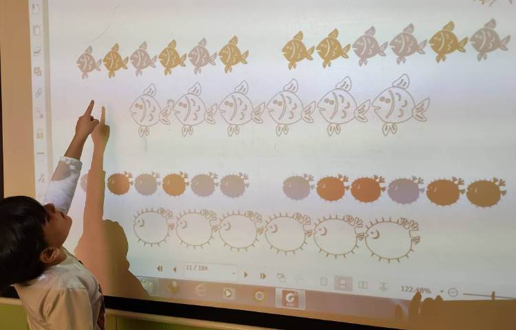 فعالیت ریاضی الگویابی