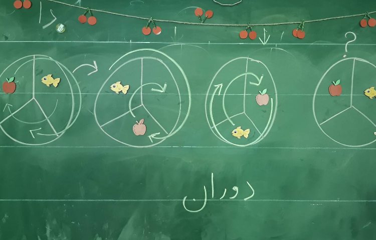 :فعالیت ریاضی و هوش (آموزش دوران) 1