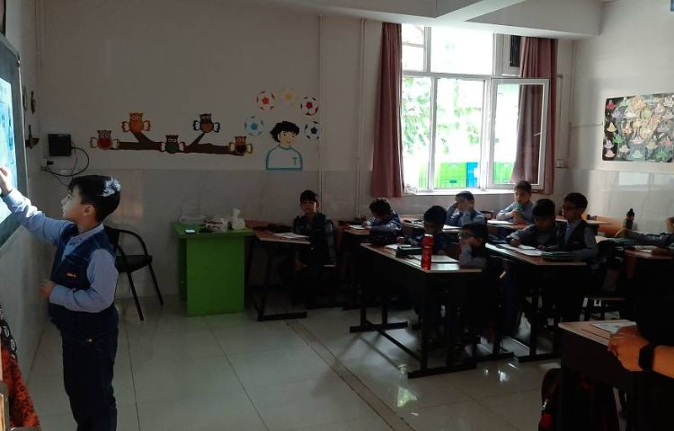 فعالیت ریاضی