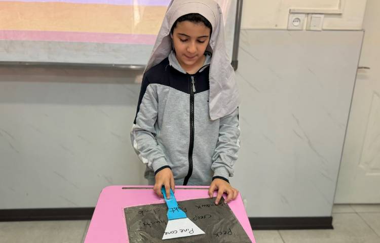 فعالیت زبان