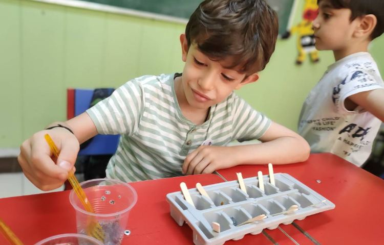 : فعالیت شاد، بستنی یخی 3