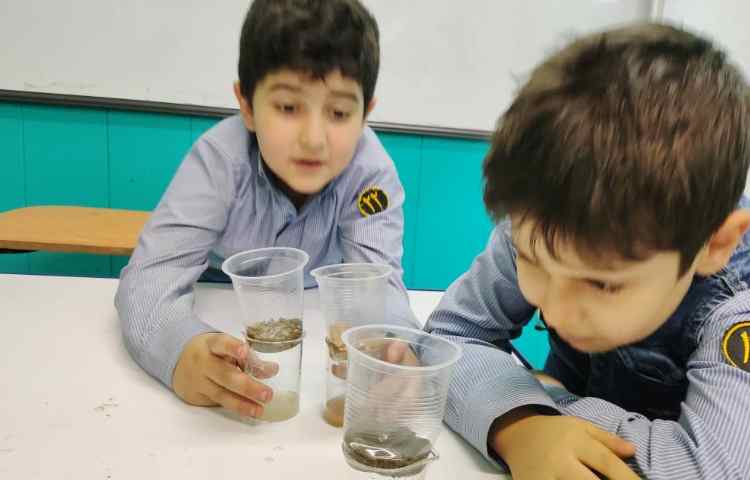 فعالیت علوم آزمایشگاه آزمایش مقایسه ی سرعت عبور آب از خاک 5