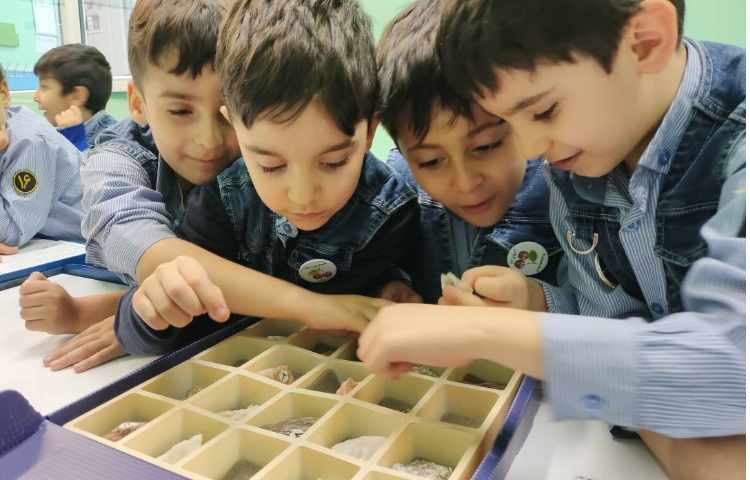 فعالیت علوم (آزمایشگاه ) آشنایی با انواع سنگ 3