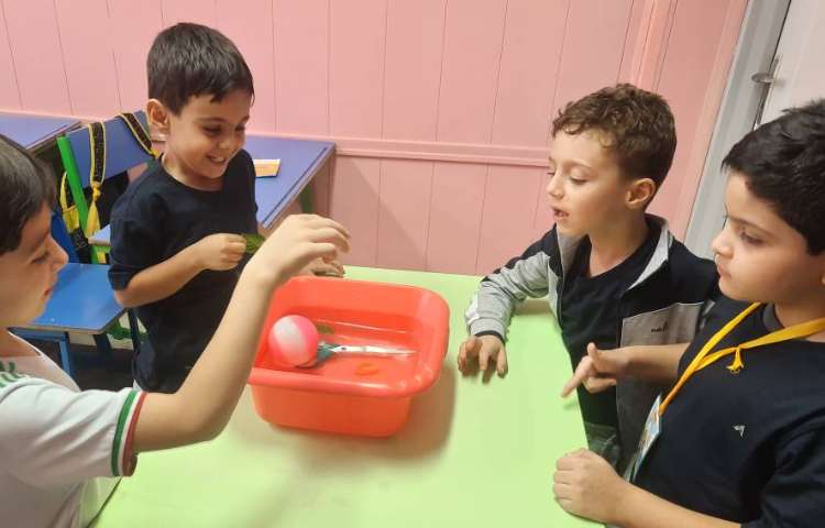 فعالیت علوم: آزمایش اجسام سبک و سنگین 1