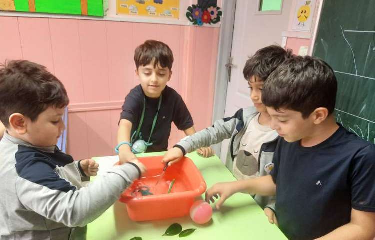 فعالیت علوم: آزمایش اجسام سبک و سنگین