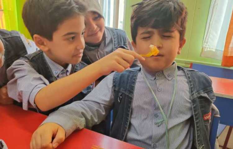 فعالیت علوم آزمایش چشایی و بویایی 1