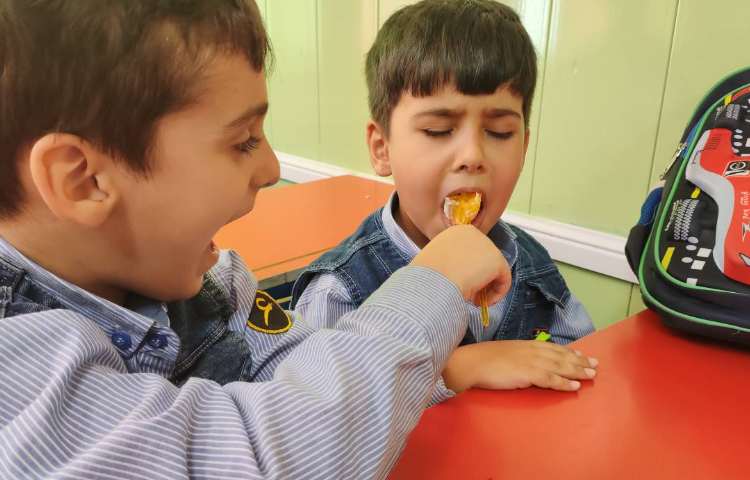 فعالیت علوم آزمایش چشایی و بویایی 2