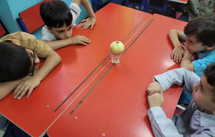 فعالیت علوم آشنایی با قسمت های مختلف گیاه ساخت کاردستی گروهی 1