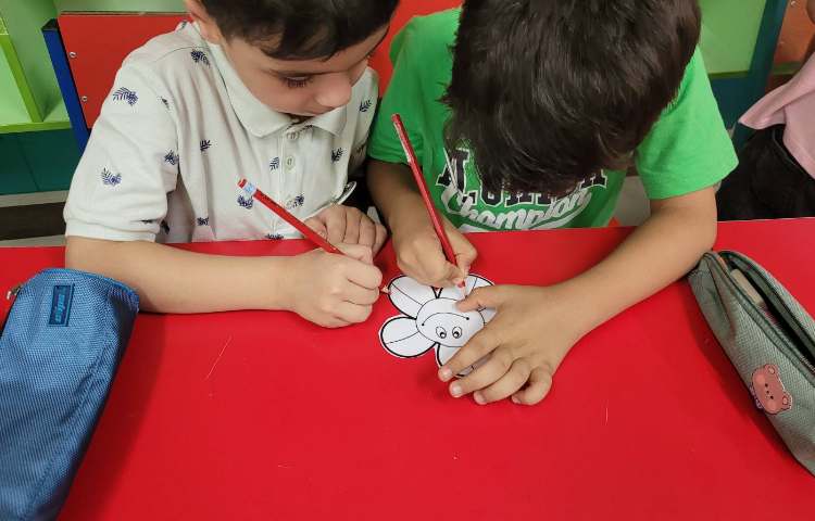 فعالیت علوم آشنایی با قسمت های مختلف گیاه ساخت کاردستی گروهی 3