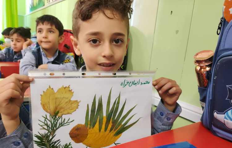 فعالیت علوم: آشنایی با گیاهان شکل سازی با برگ های خشک