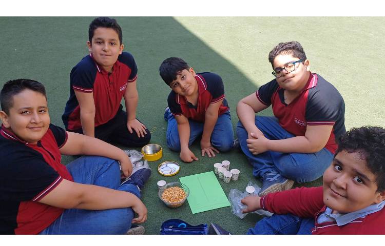 فعالیت علوم تفکیک گیاه تک لپه و دولپه ای 1