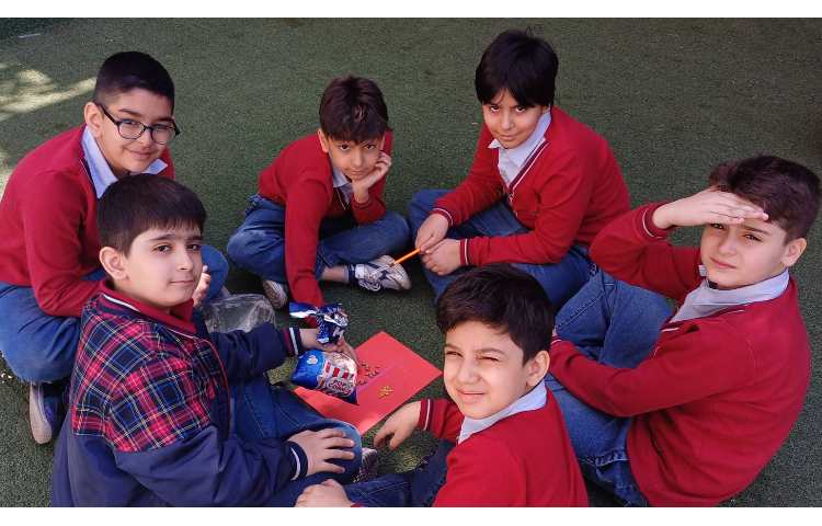 فعالیت علوم تفکیک گیاه تک لپه و دولپه ای 2