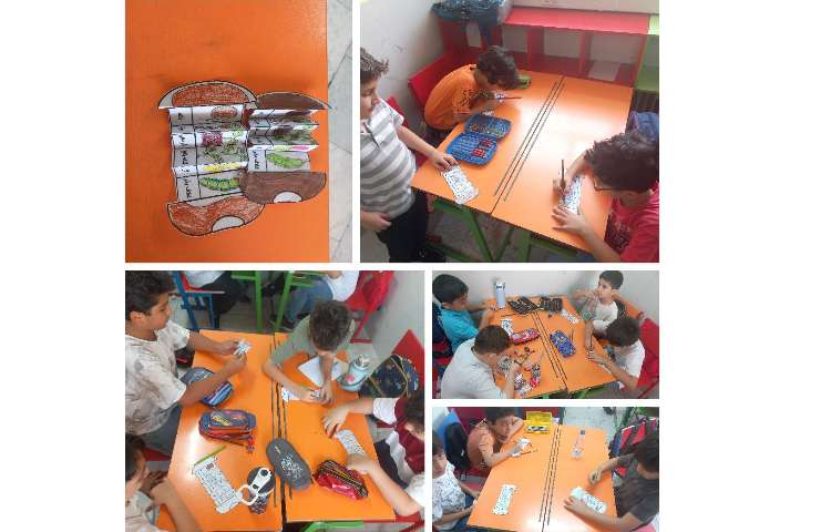 فعالیت علوم دست سازه مراحل رشد گیاهان 1