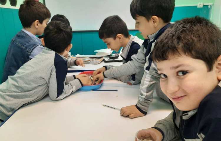 فعالیت علوم: شناخت سنگ ها 1