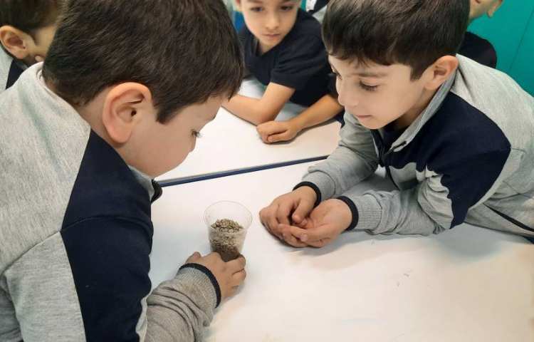 فعالیت علوم: شناخت سنگ ها 2