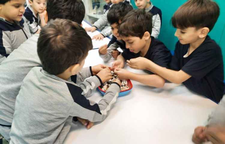 فعالیت علوم: شناخت سنگ ها 3