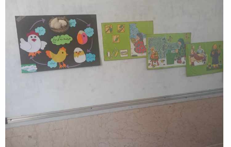 فعالیت علوم مربوط به چرخه جانوران 3