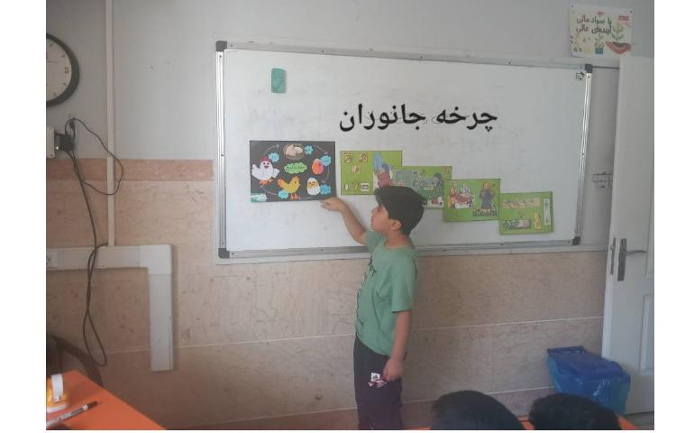 فعالیت علوم مربوط به چرخه جانوران 4