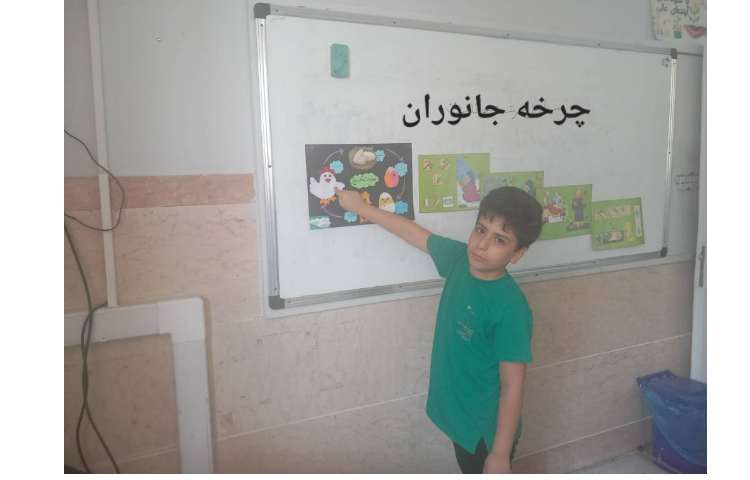 فعالیت علوم مربوط به چرخه جانوران