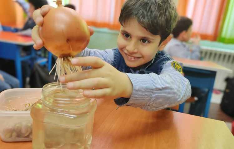 فعالیت علوم مشاهده ی رشد گیاه و ریشه 1