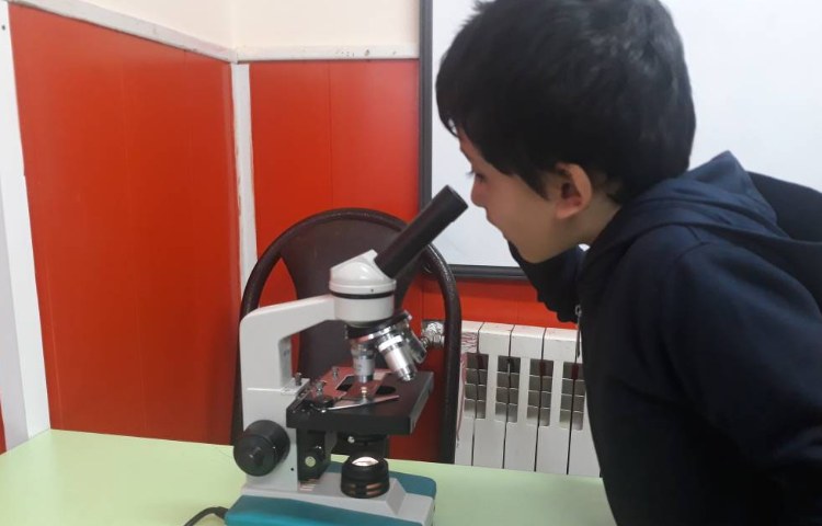 :فعالیت علوم، کلاس گیلاس 2