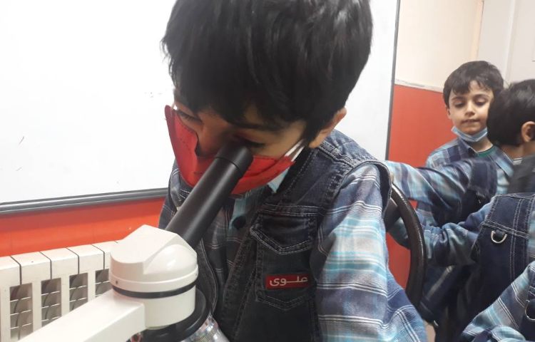 :فعالیت علوم، کلاس گیلاس 4