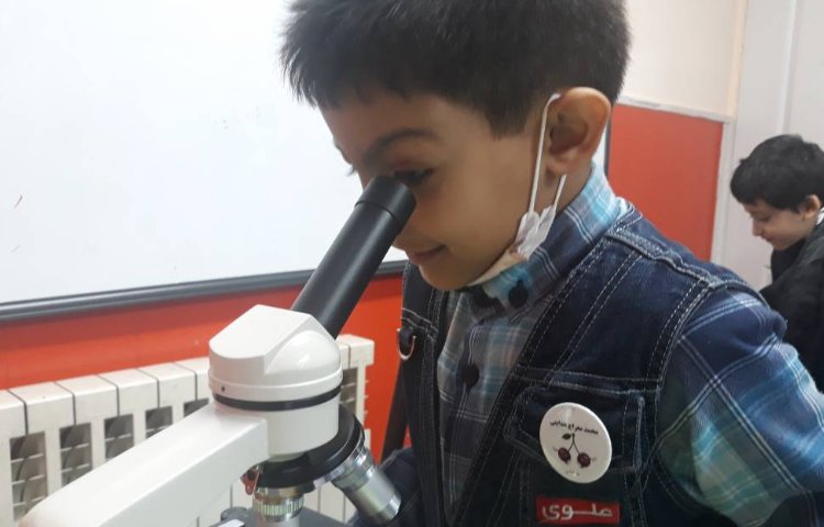 :فعالیت علوم، کلاس گیلاس 6