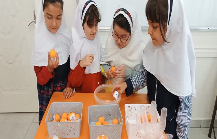 فعالیت علوم 3