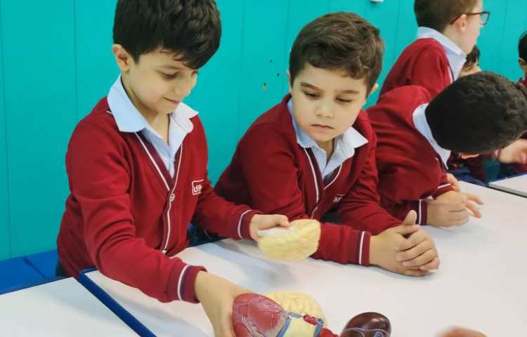 فعالیت علوم 3