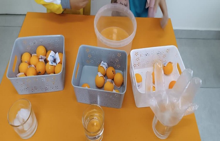 فعالیت علوم 7