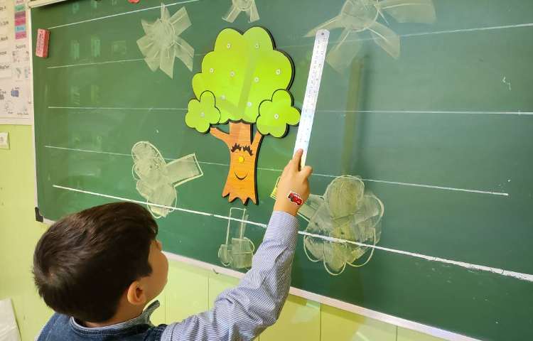 فعالیت علوم