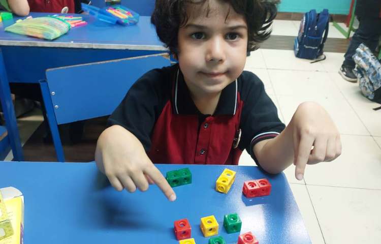 فعالیت عملکردی ریاضی