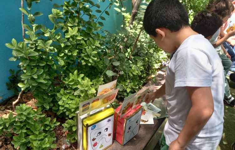 فعالیت غوطه وری immersion