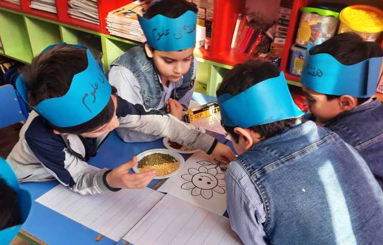 فعالیت فارسی: پروژه ی تابلوی حبوبات 2