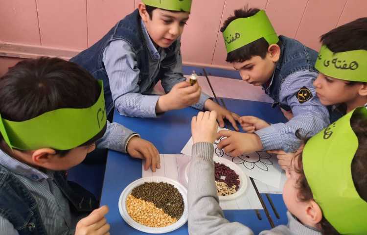 فعالیت فارسی: پروژه ی تابلوی حبوبات