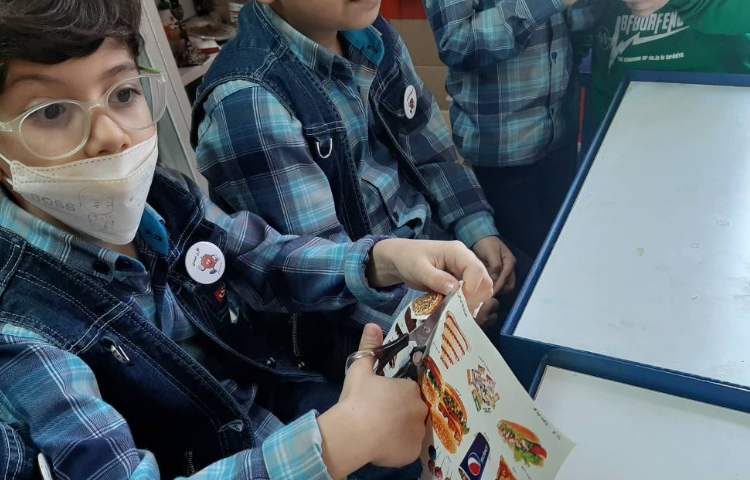 :فعالیت فصل 3 علوم، خوراکی های مفید و غیر مفید، کلاس توت فرنگی