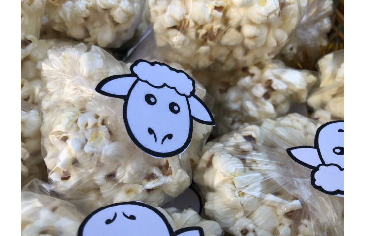 فعالیت مناسبتی روز پفیلا 11