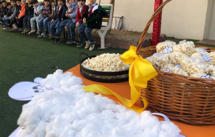 فعالیت مناسبتی روز پفیلا 5