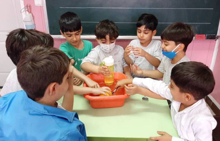 :فعالیت های درسی کلاس سیب 13