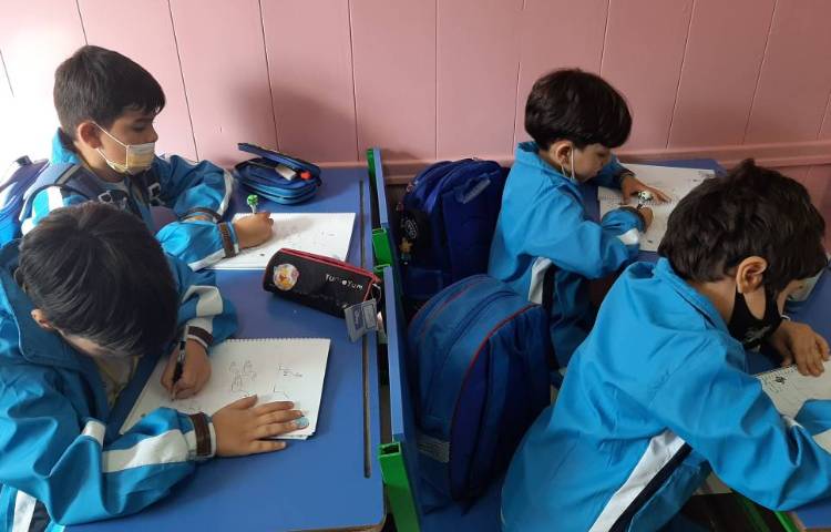 :فعالیت های درسی کلاس سیب 15