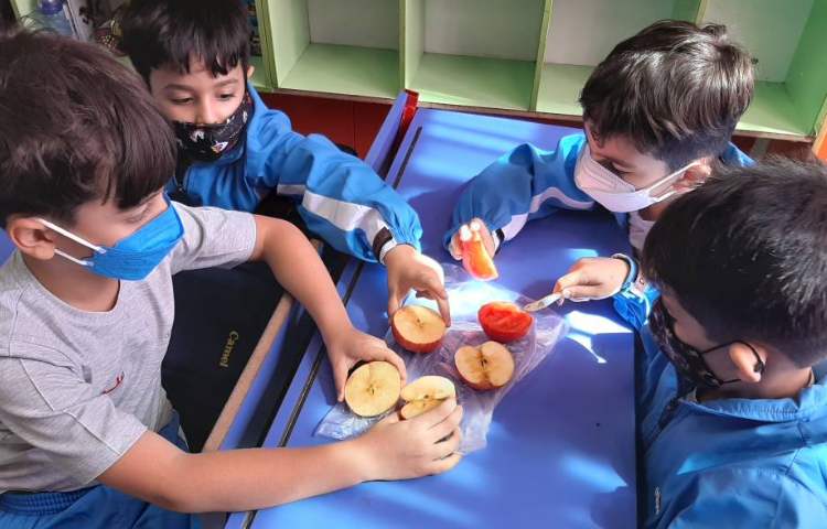 :فعالیت های درسی کلاس سیب 9