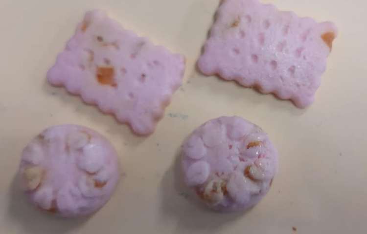 فعالیت های درس 13 علوم ساخت مجسمه گچی و صابون میوه ایی (کارگاه خلاق)پایه دوم دبستان 11