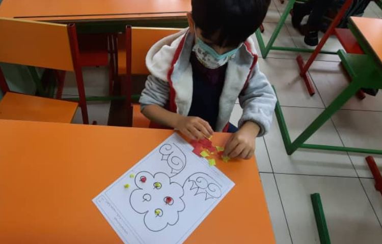 فعالیت های دست ورزی 8