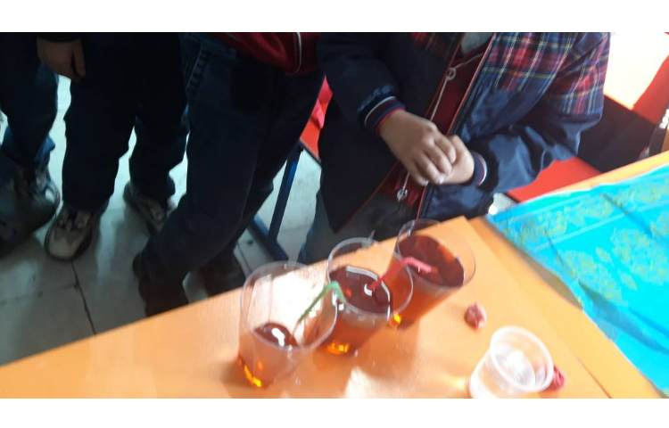 فعالیت های روز اول هفته ملی علوم اسرار اب 4