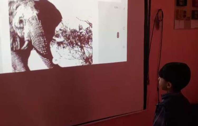 فعالیت های زبانی شاد روز بدون کیف دانش آموزان پیش دبستان علوی 5