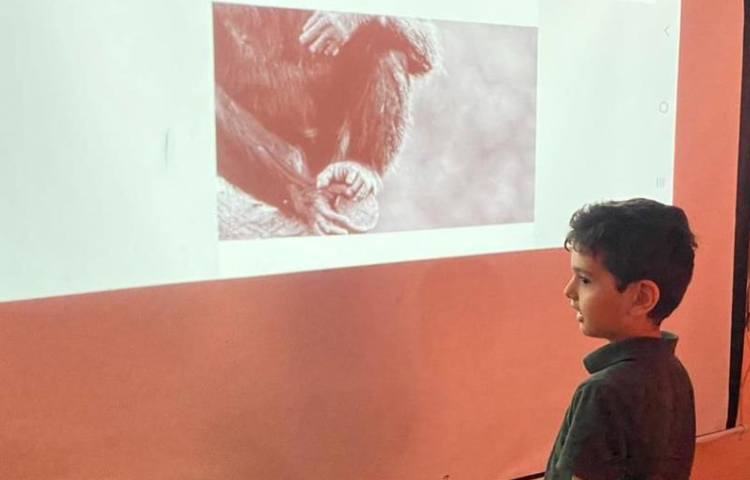 فعالیت های زبانی شاد روز بدون کیف دانش آموزان پیش دبستان علوی