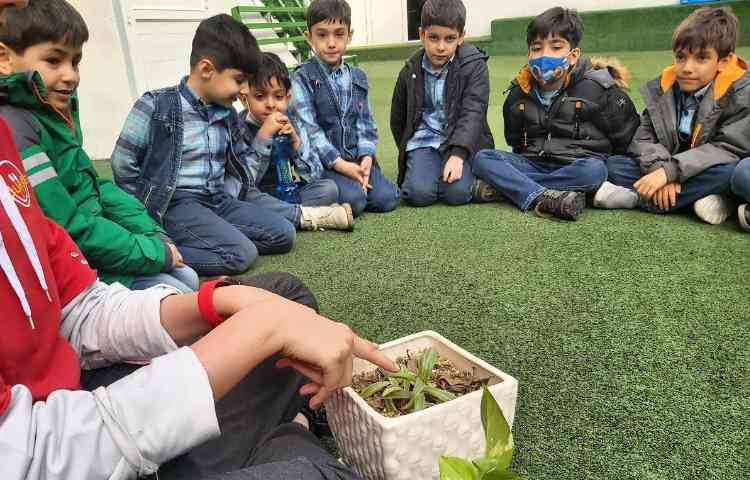 فعالیت های زبانی 2