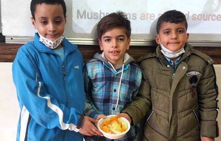 فعالیت های زبانی 3